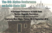 Gaël De Paëpe reçoit un prix au cours de la conférence "Alpine Conference on Solid-State NMR"
