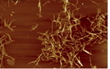 Nanofibrilles de cellulose : le bois vecteur de la chimie verte