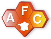 Vincent Favre-Nicolin - Prix André Guinier de l'AFC 2020