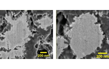 Investigation of a nano-architectured composite anode