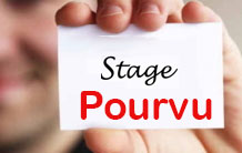 Implémenter et améliorer un logiciel de simulation d'images de microscopie électronique sur un cluster de calculs