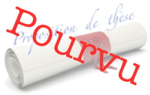 Modeling of silicon two qubit gates