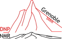 DNP-enhanced solid-state NMR in Grenoble